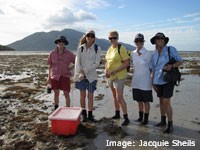 Seagrass Watch Volunteers